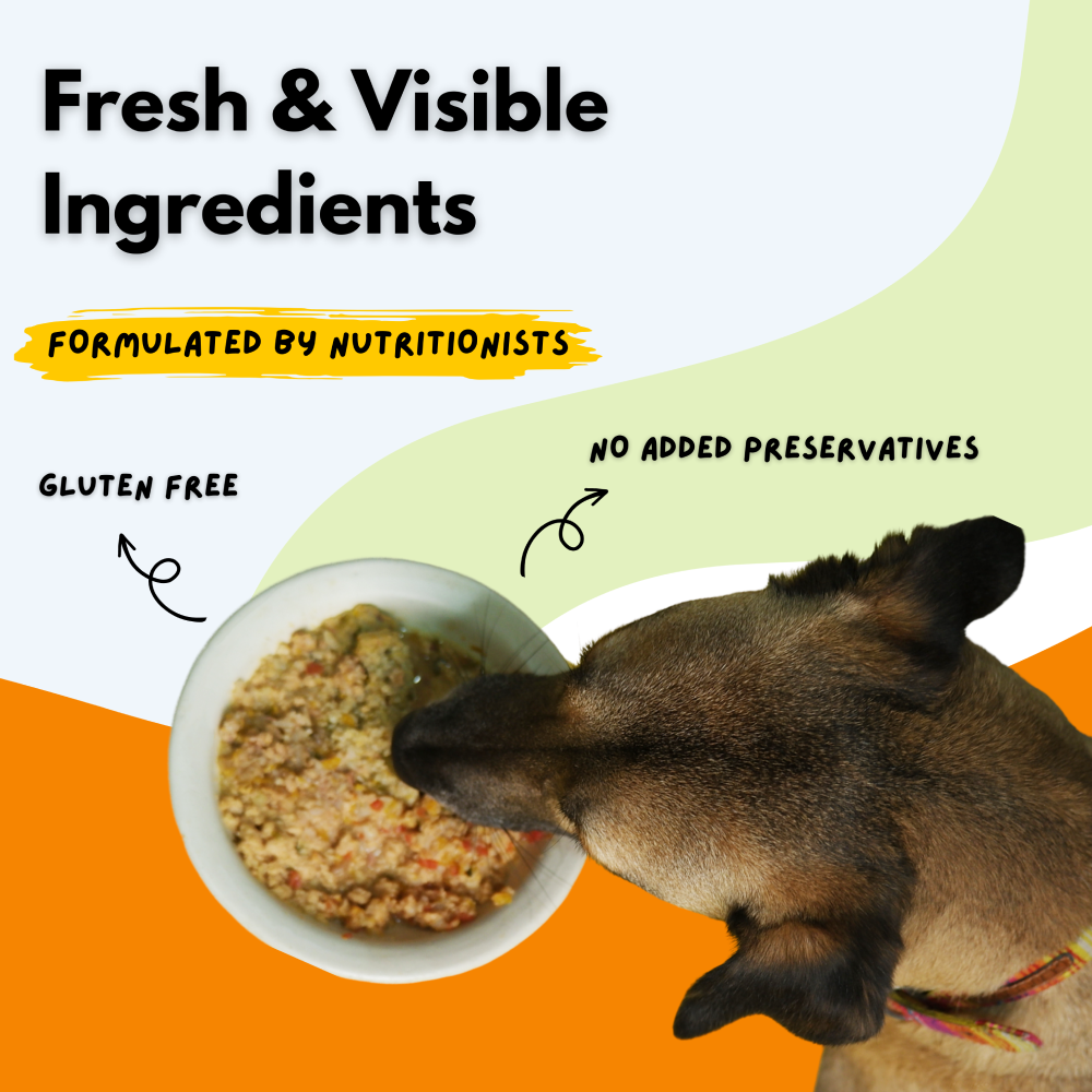 Sploot Meals Mix Recipe Dog Wet Food image 10