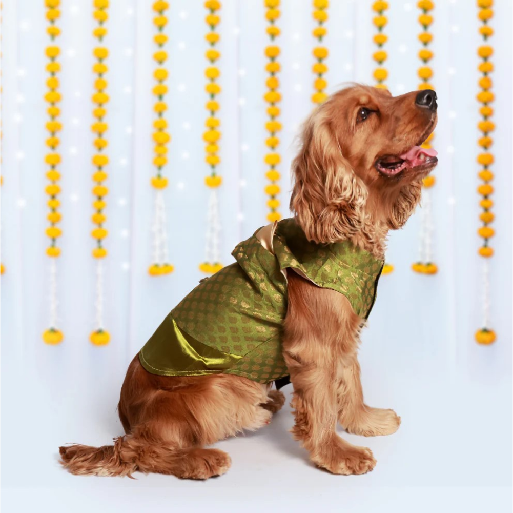 Pet Set Go Kurta for Dogs (Green) image 5