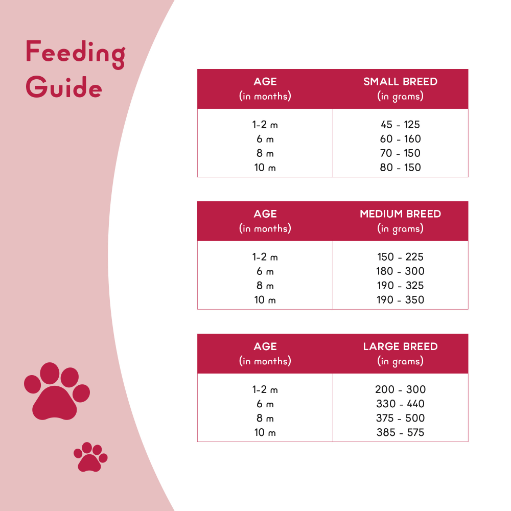 Yummytails Super Premium Mother and Puppy Dry Food | Chicken & Fish Flavor | Corn and Soya Free Formula image 7
