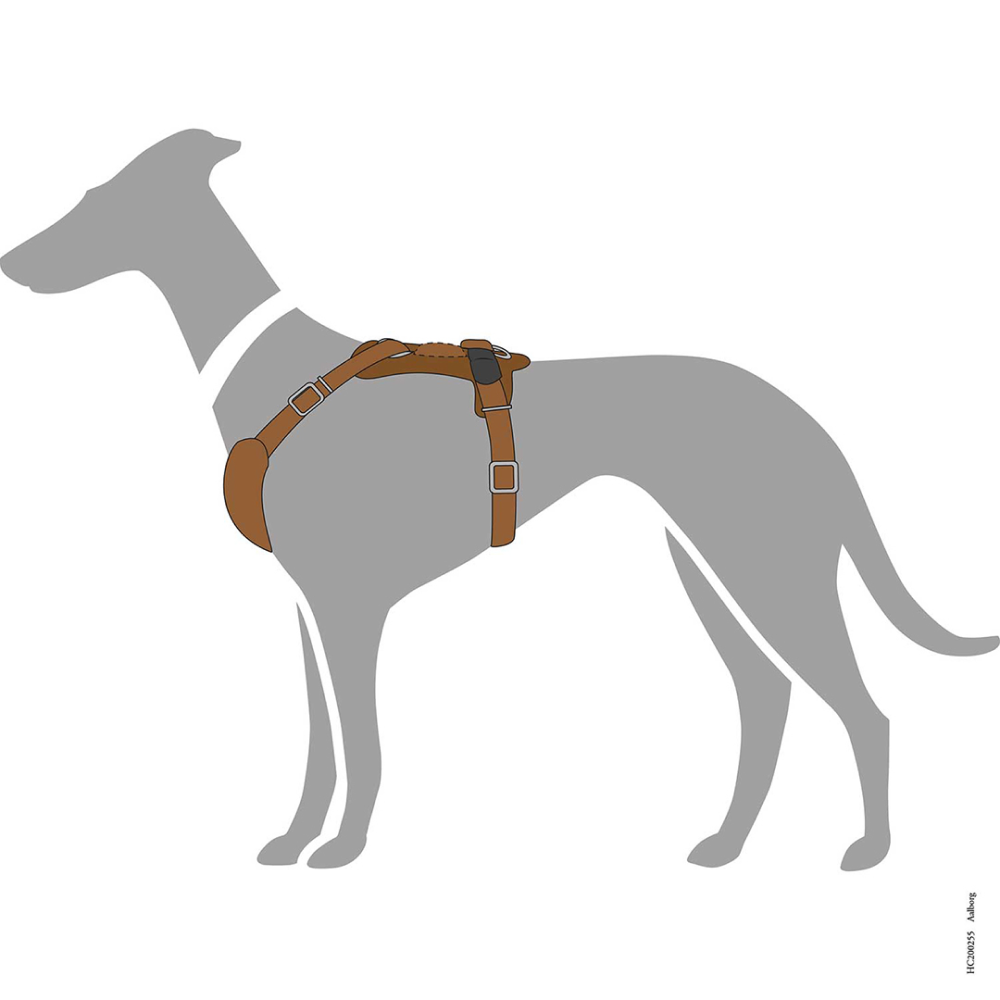 Hunter Aalborg Adjustable Leather Harness for Dogs (Cognac) image 3