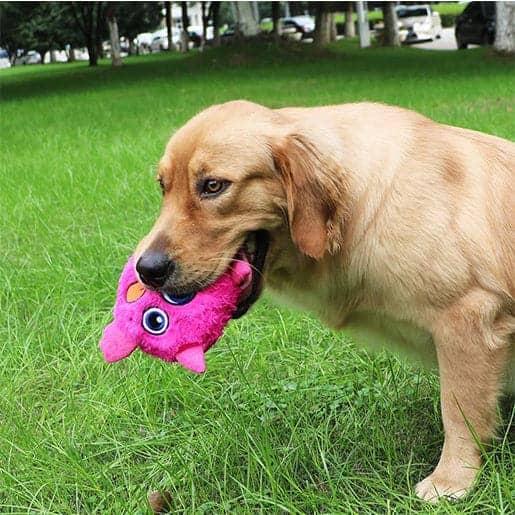 Pawsindia Trembling Monster Toy for Dogs | For Soft Chewers (Green) image 4