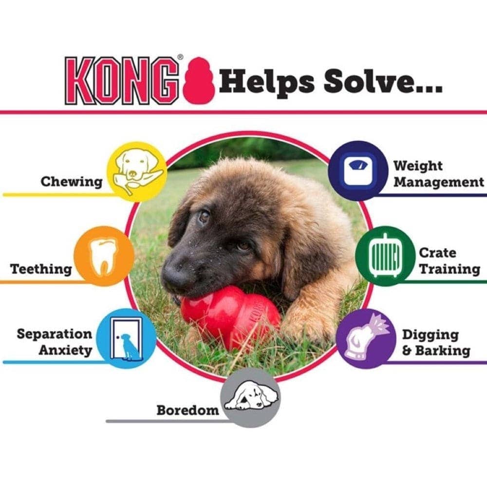 Kong Puppy Toy for Dogs (Pink) | For Aggressive Chewers image 9