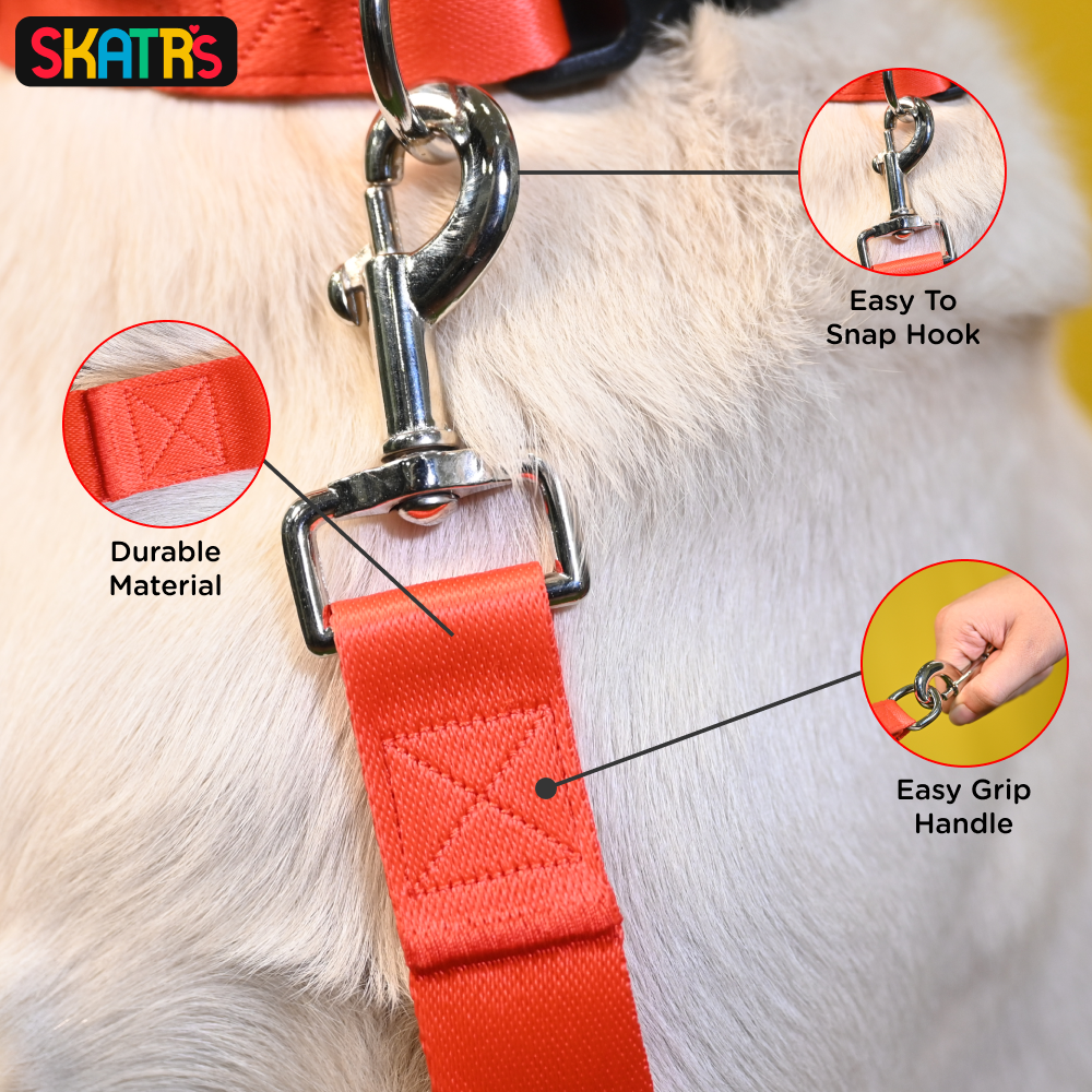 Skatrs Leash for Dogs (Red) image 3