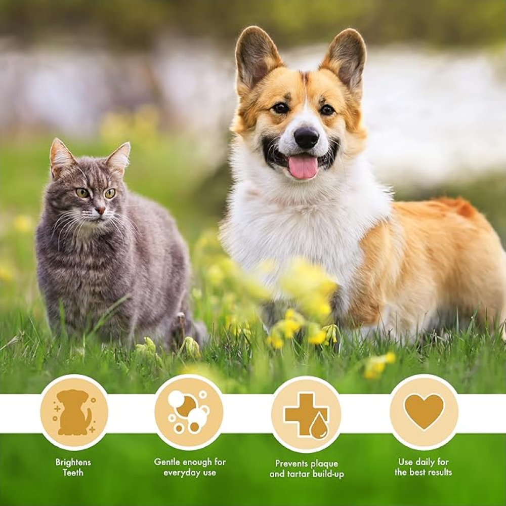 Petkin Peanut Butter Plaque Spray for Dogs and Cats image 4