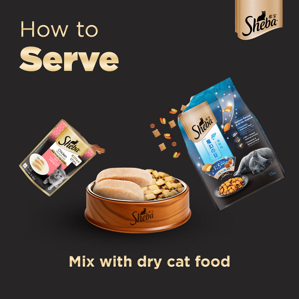 Sheba Chicken Loaf Rich Premium Kitten (2 to 12 Months) Fine Wet Food and Irresistible All Life Stage Cat Dry Food Combo image 6