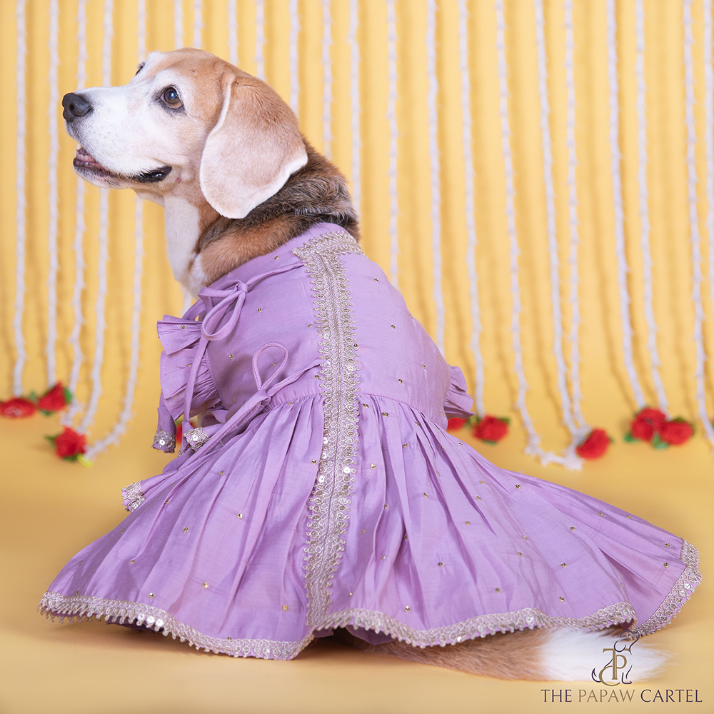 The Papaw Cartel Embroidered Indian Angarkha for Dogs & Cats (Lilac) image 1