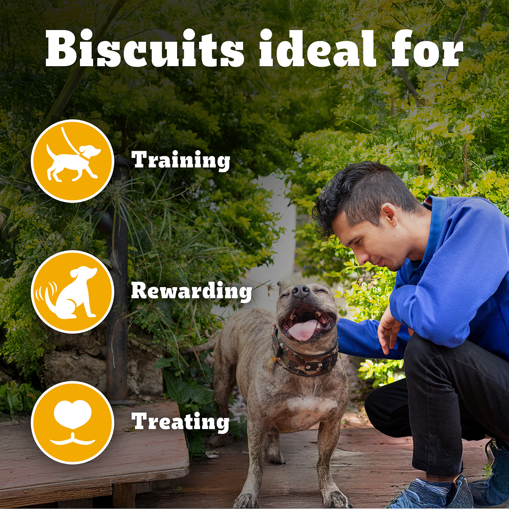 Pedigree Chicken Flavour Biscrok Biscuits Dog Treats (900g) image 7