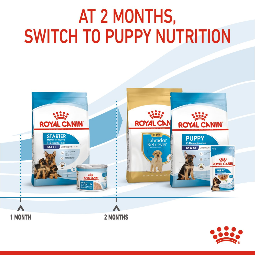 Royal Canin Maxi Starter Dry Dog Food image 7