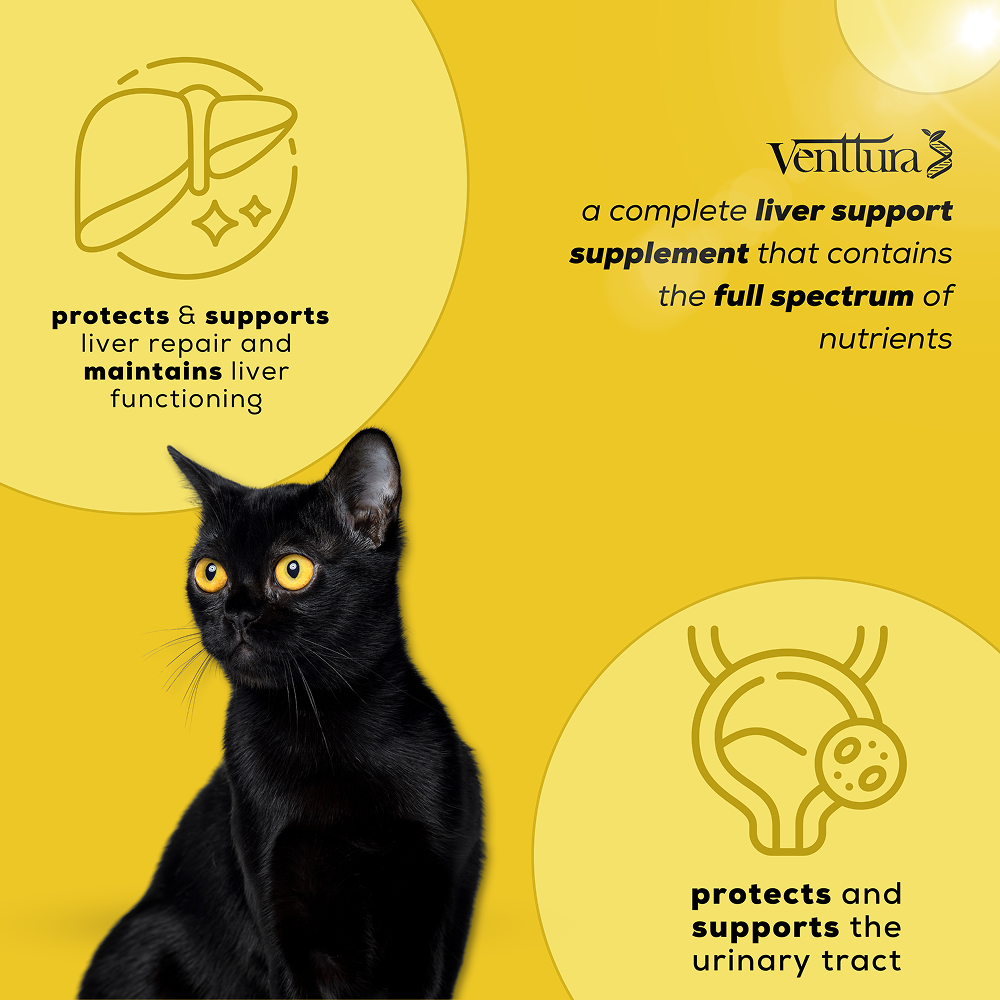 Venttura Liver Repair, Support Recovery & Recuperation Supplement for Cats image 7