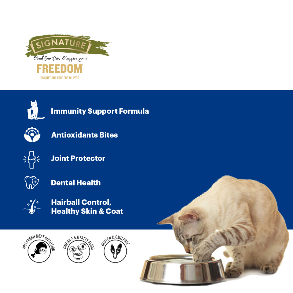 Signature Freedom Fish, Chicken and Peas Recipe Kitten Dry Cat Food image 2