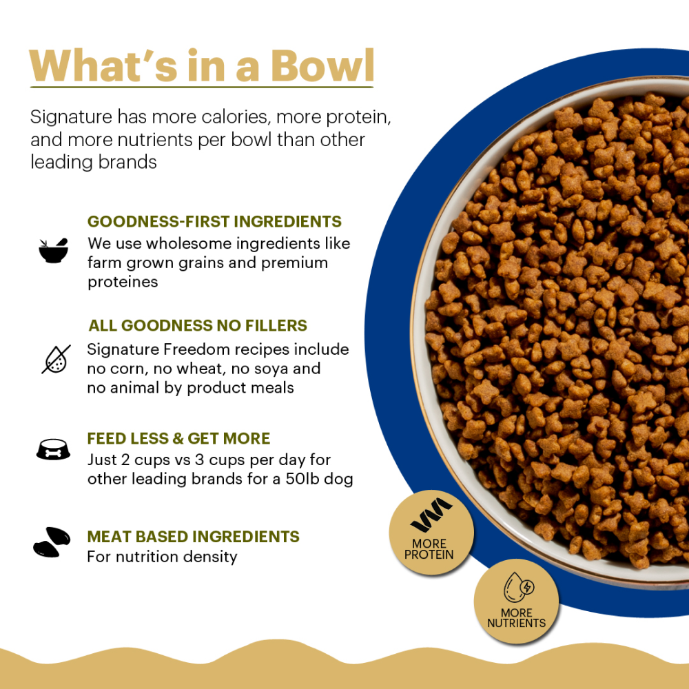 Signature Freedom Fish, Chicken and Peas Recipe Kitten Dry Cat Food image 3