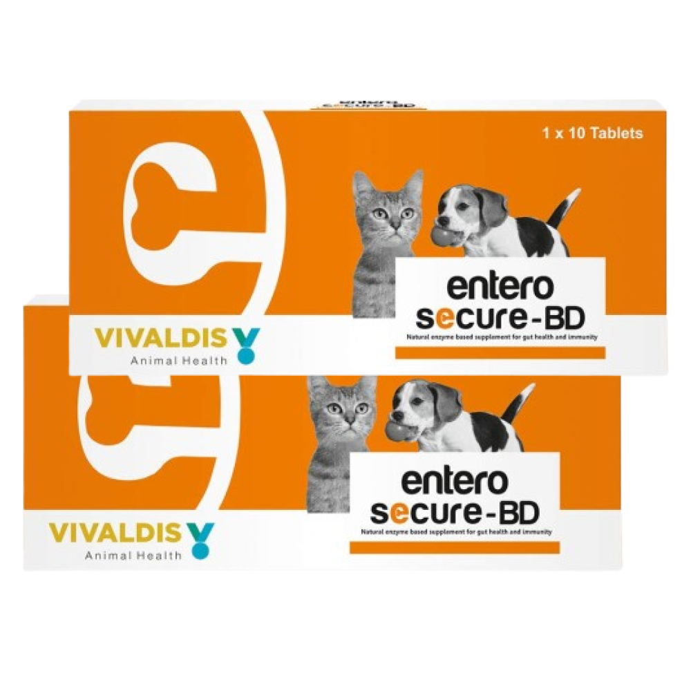 Vivaldis Entero Secure  BD Tablet for Dogs and Cats image 7