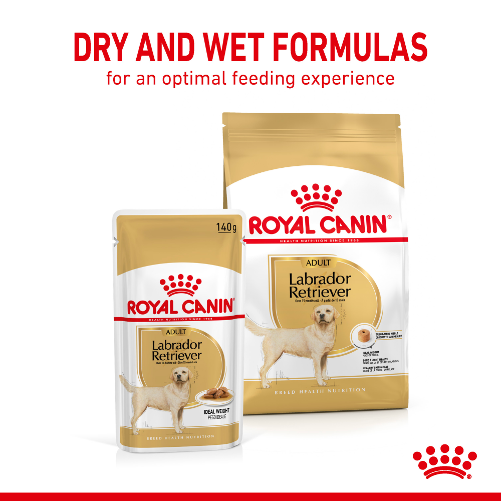 Royal Canin Chunks In Gravy Labrador Retriever Adult Dog Wet Food image 4