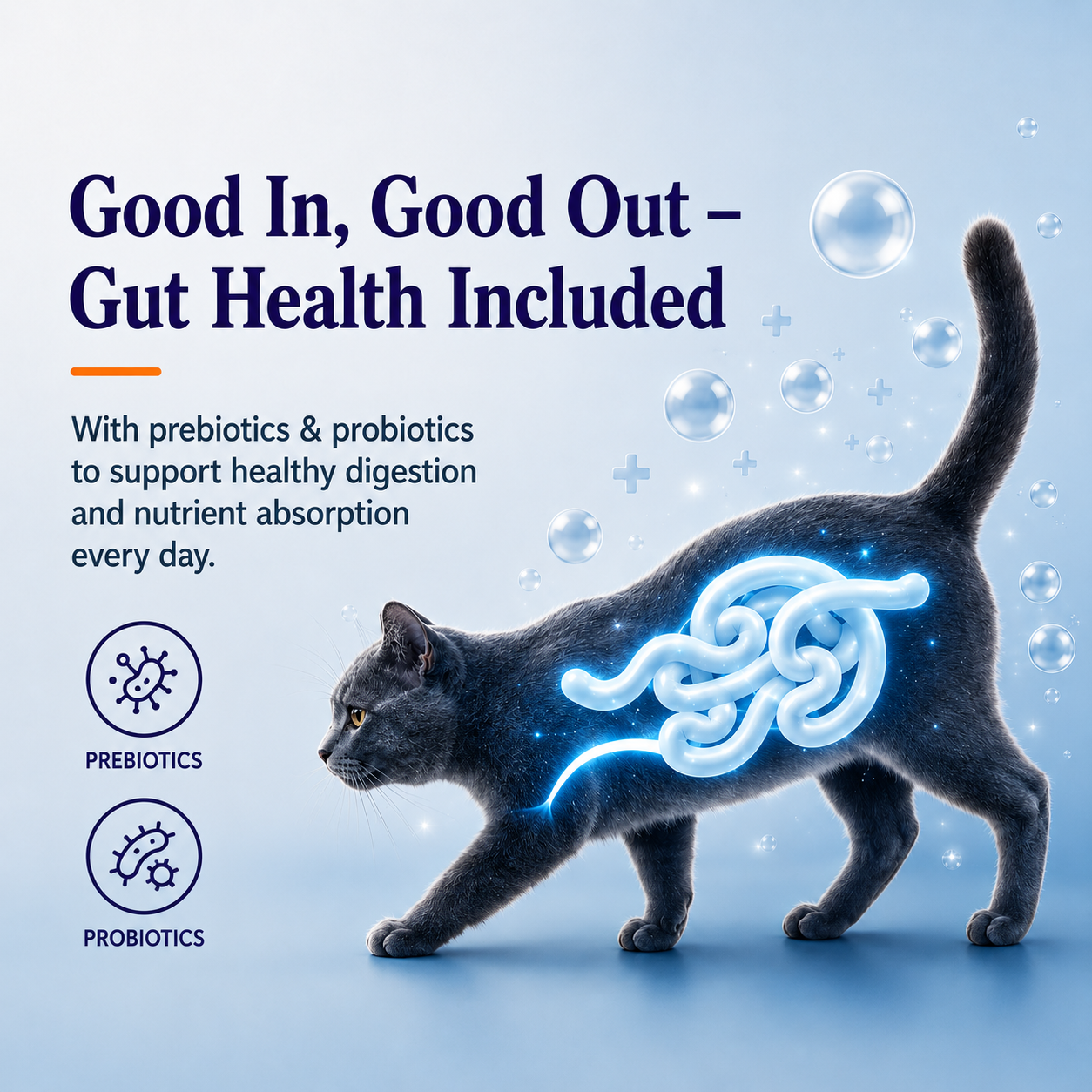 Maxi Adult Tuna & Salmon Adult Dry Cat Food image 6