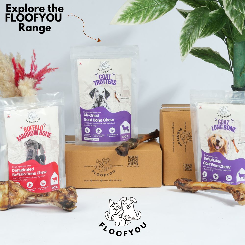 FloofYou Air Dried Buffalo Marrow Bone Chew Dog Treats image 8