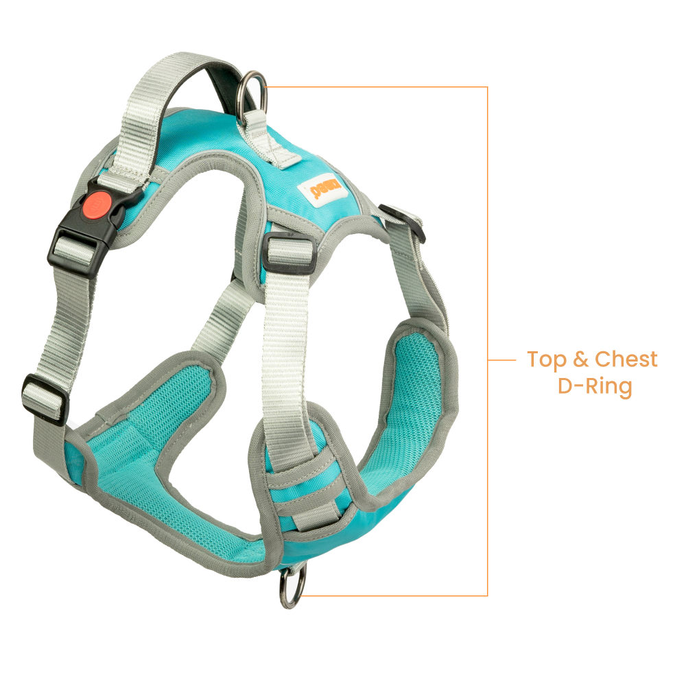 Kibbo Reflective Vest Harness with Dual Lock Buckle for Dogs (Sea Green) image 3