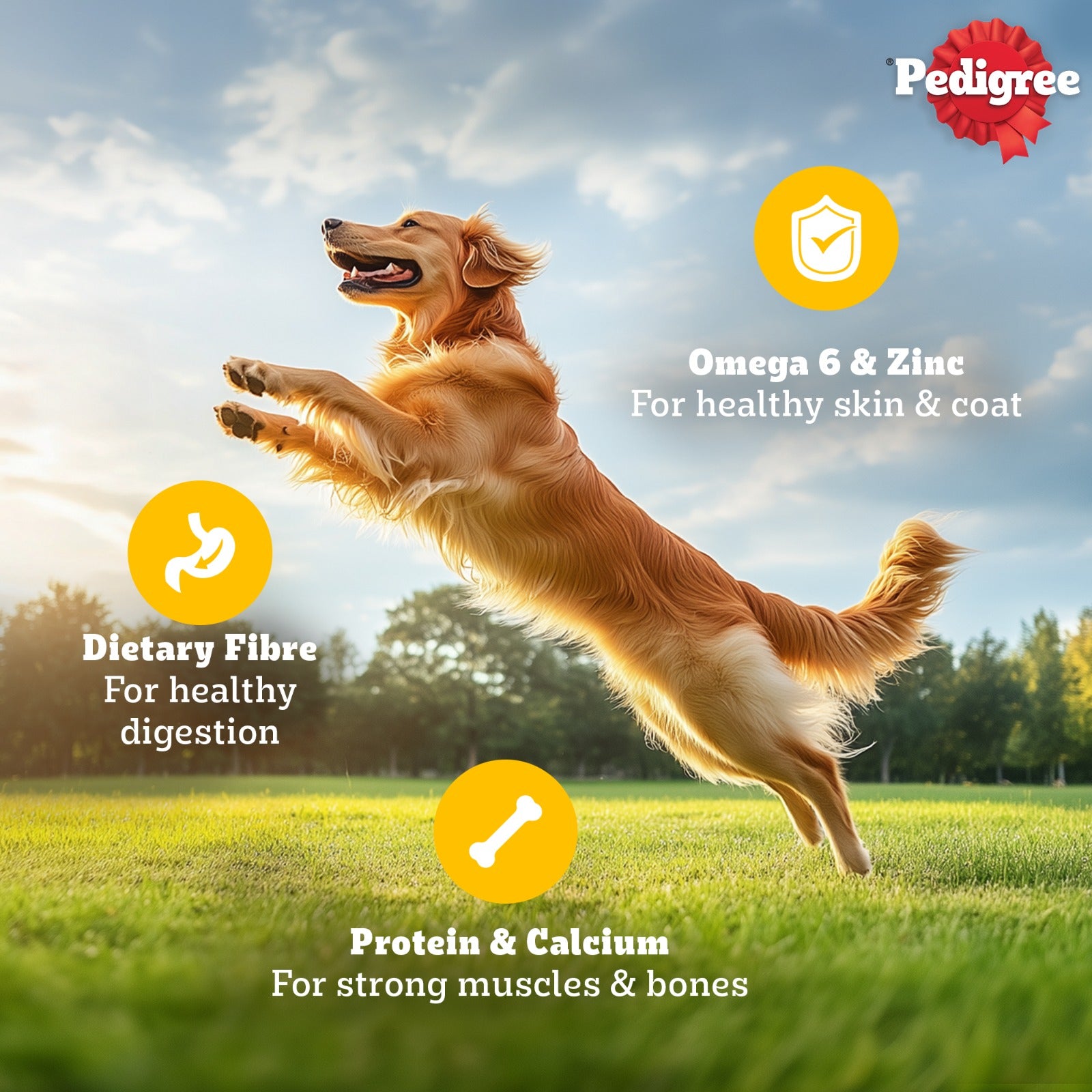 Pedigree Chicken and Liver Chunks in Gravy Adult Dog Wet Food (70g) image 7