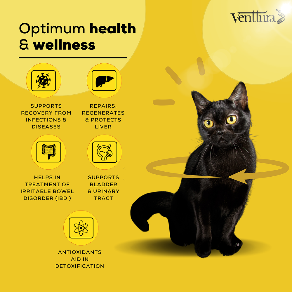 Venttura Liver Repair, Support Recovery & Recuperation Supplement for Cats image 4