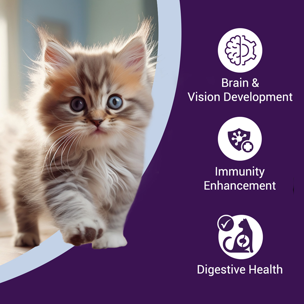 Purrfeto Chicken and Rice Kitten Cat Dry Food image 3