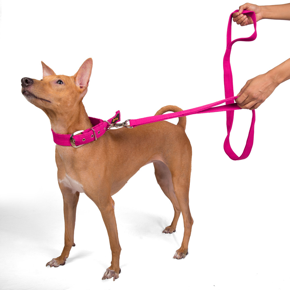 Let's Wag Double Handle Fabric Leash for Dogs (Pink) image 6