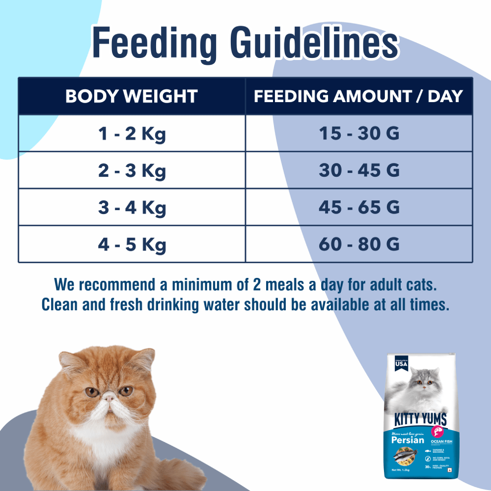 Kitty Yums Ocean Fish Persian Cat Dry Food image 6