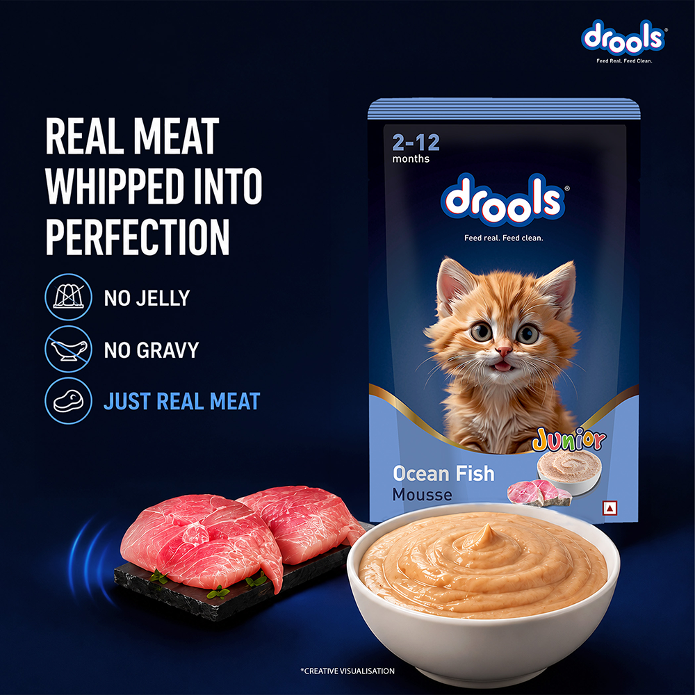 Drools Ocean Fish Mousse Kitten Cat Wet Food image 2