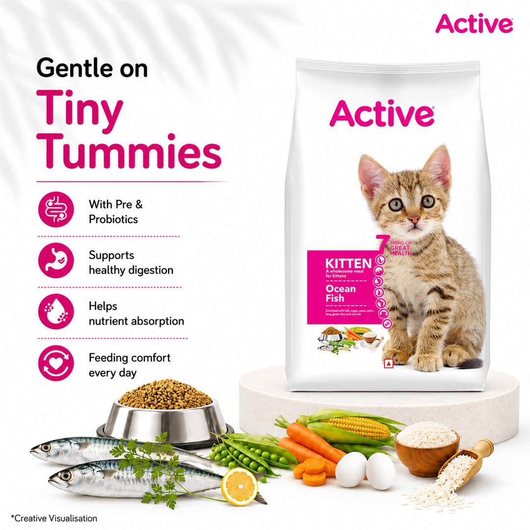 Active Ocean Fish Kitten Cat Dry Food (Buy 1 Get 1) image 5