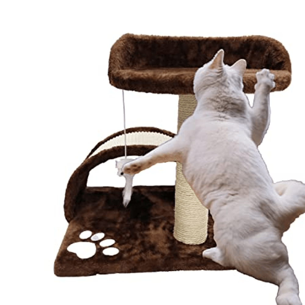 Emily Pets Cat Tree Scratching Post for Kittens & Cats (Black) image 4