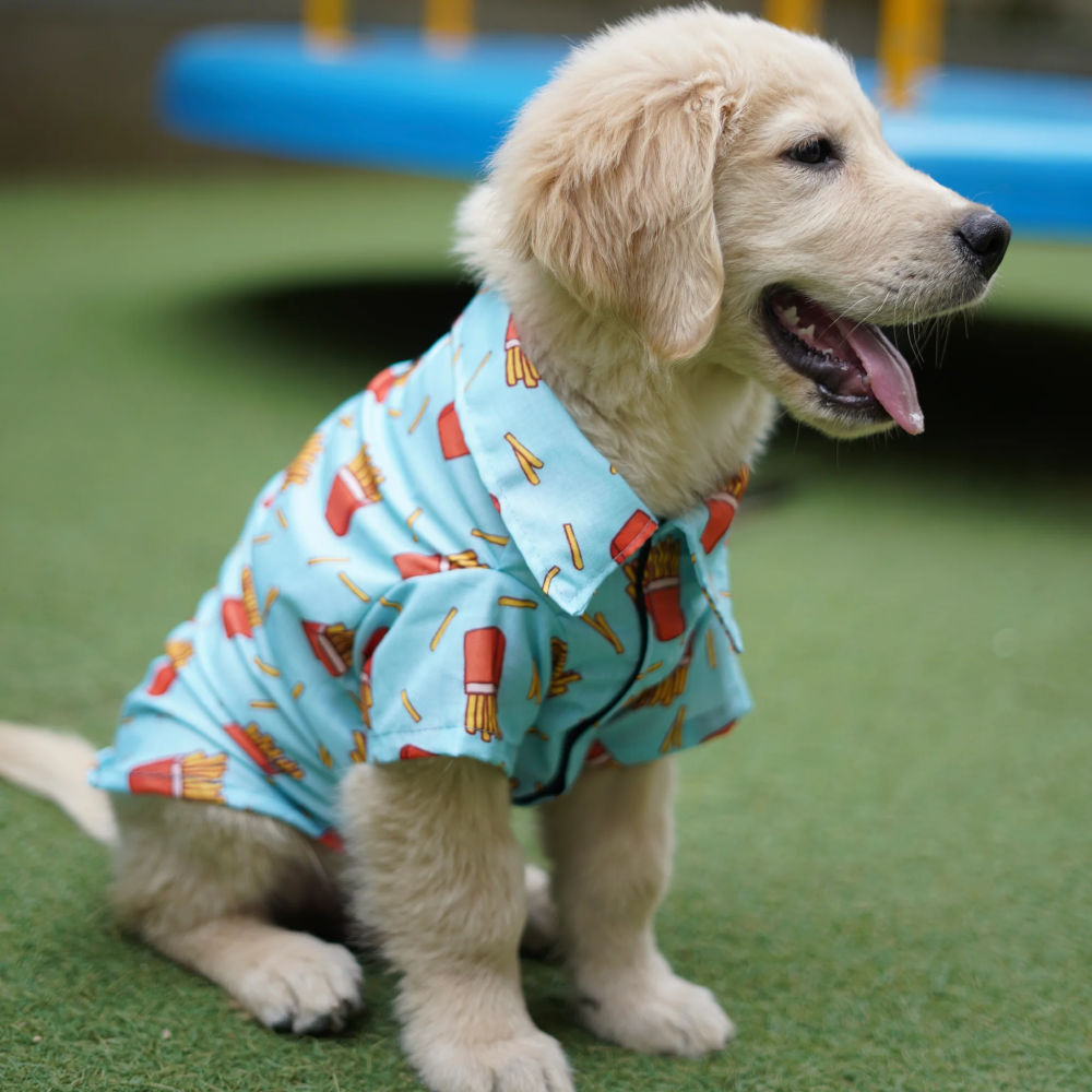 Pawgypets Fries Over Guys Shirt for Dogs (Blue) image 2