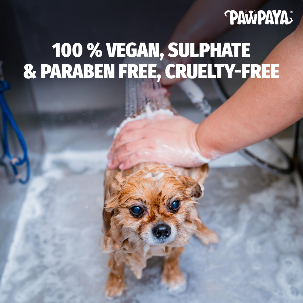 Pawpaya Whitening Coat Shampoo for Dogs image 2