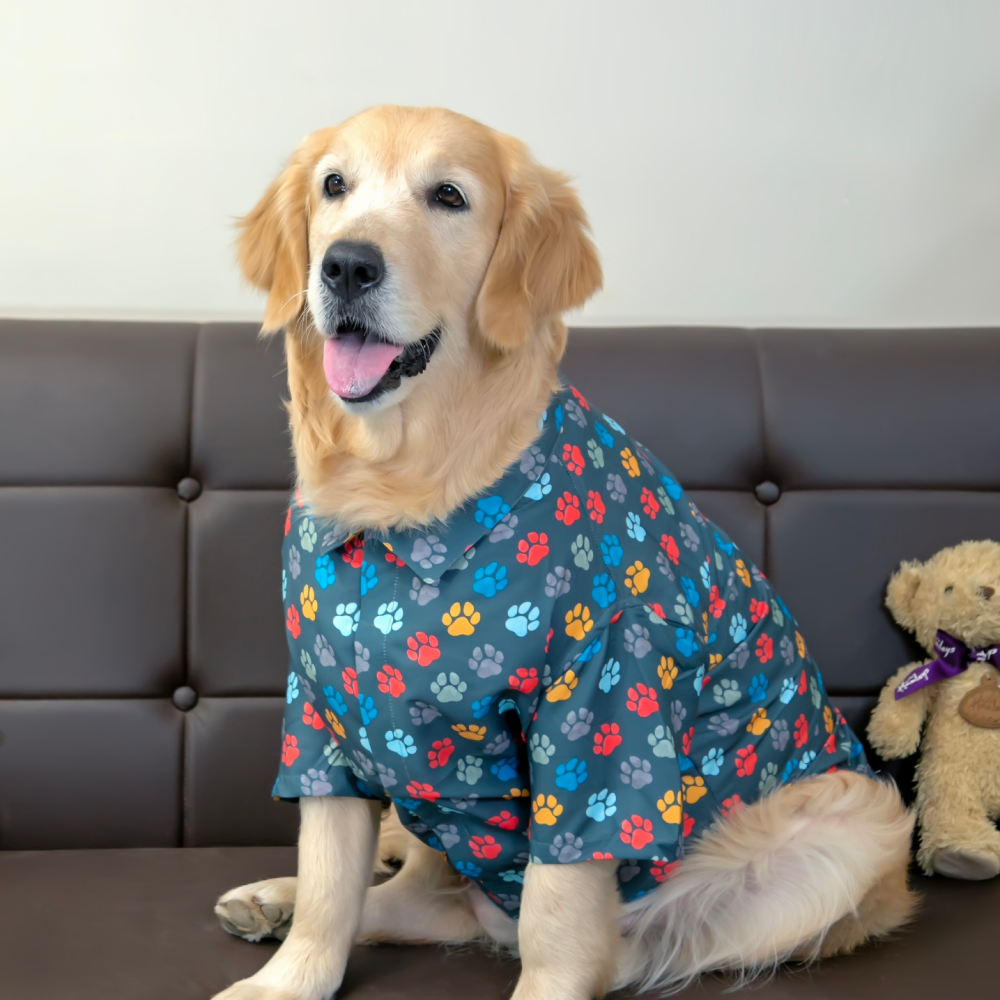 15buttons Pawsome Shirt for Dogs image 2