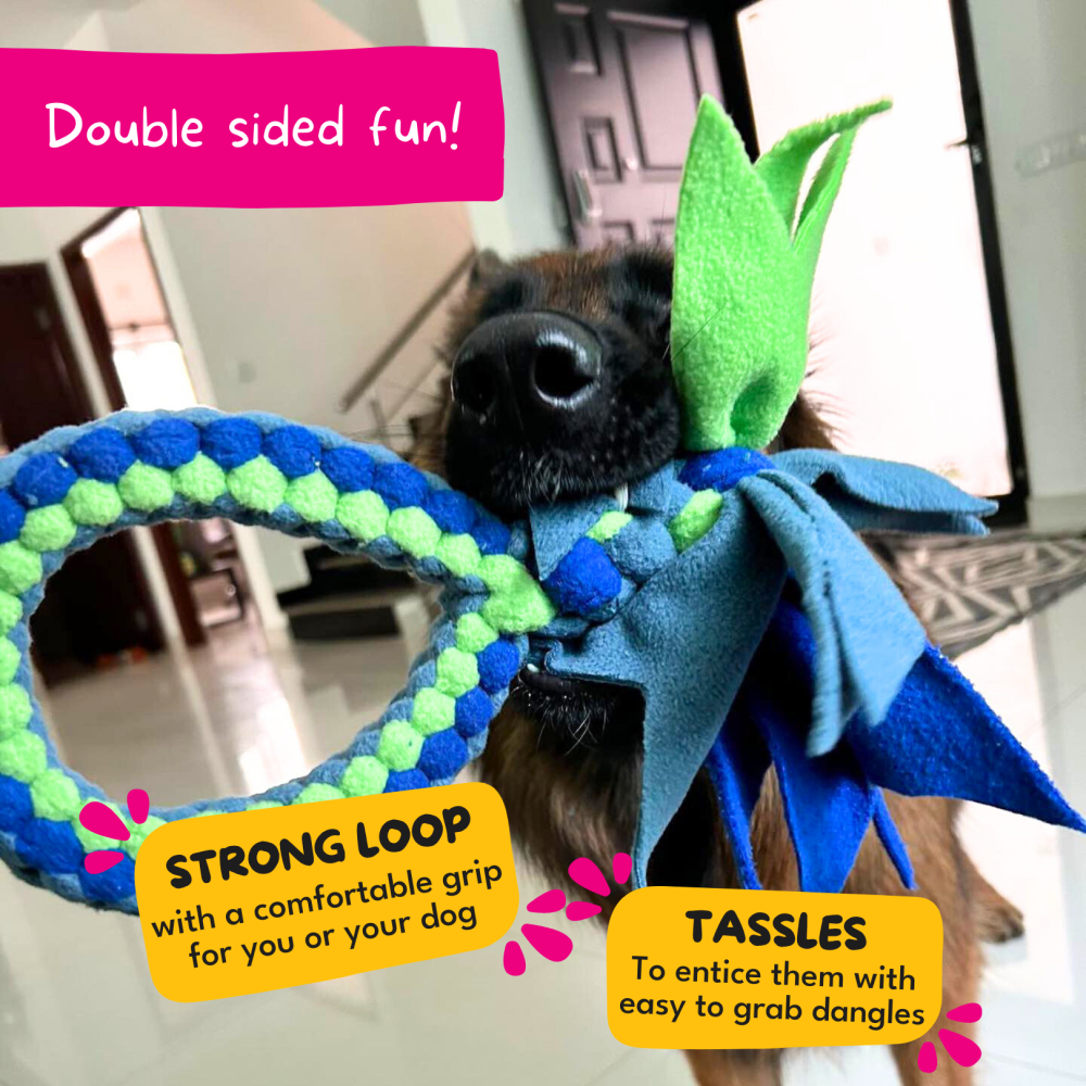 For The Love Of Dog Tug O Loop Chew Toy for Dogs (Pink/Green/Blue) image 3