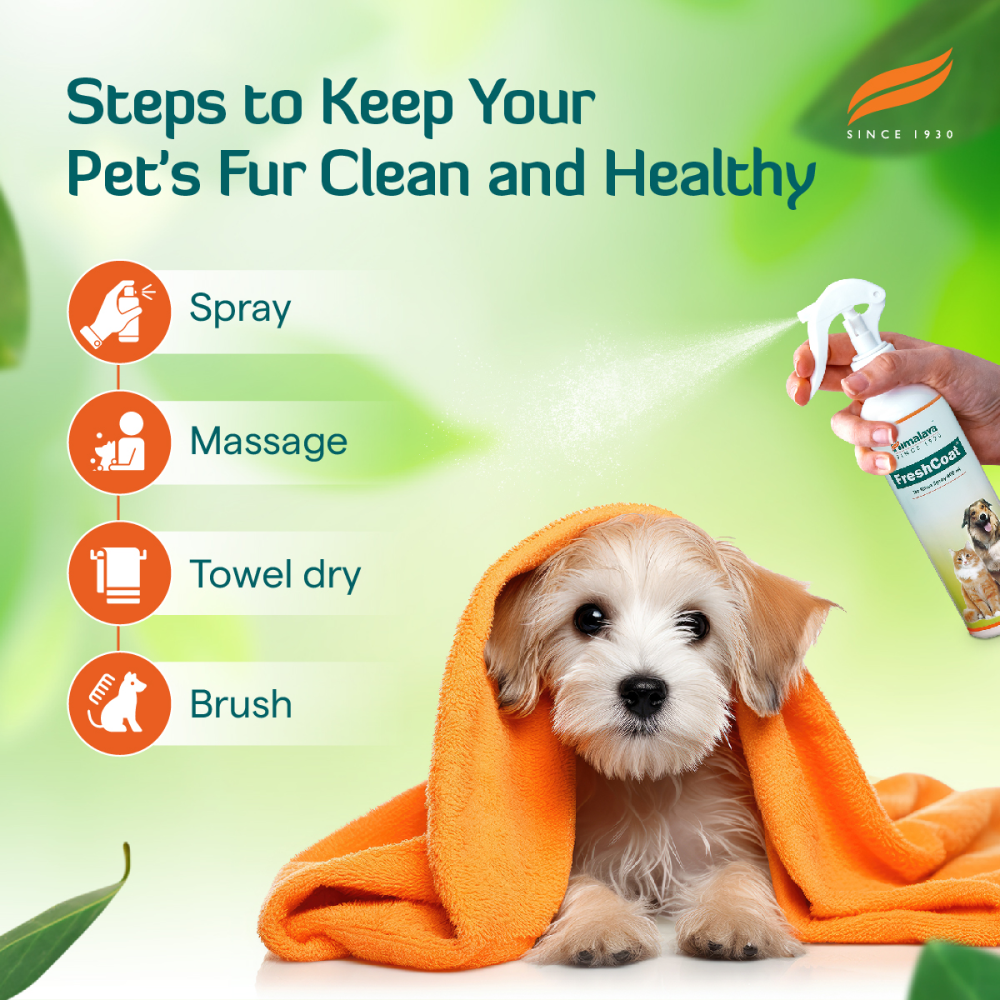 Himalaya Fresh Coat No Rinse Spray for Dogs and Cats image 5