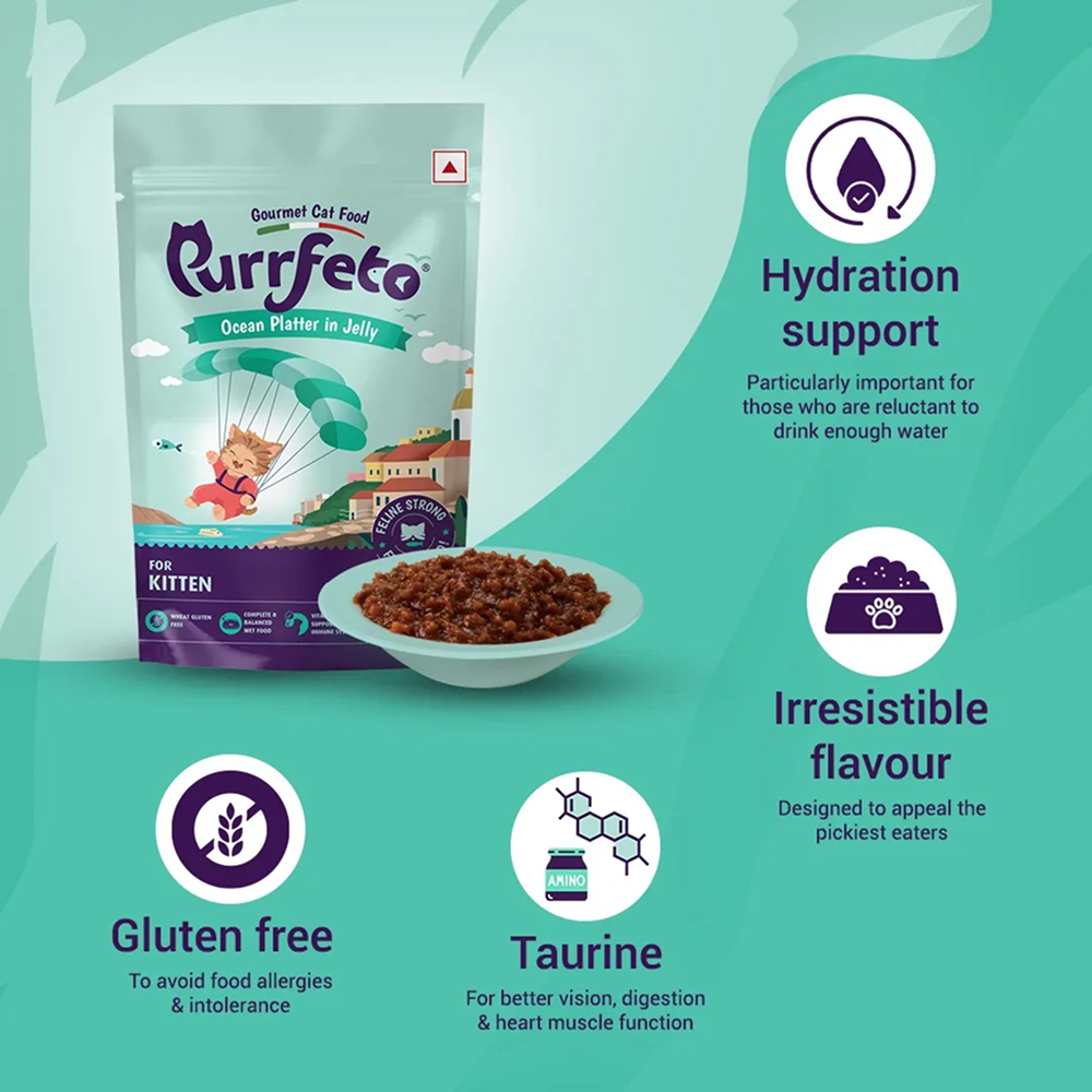 Purrfeto Oceanfish Recipe in Jelly Kitten Cat Wet Food image 3