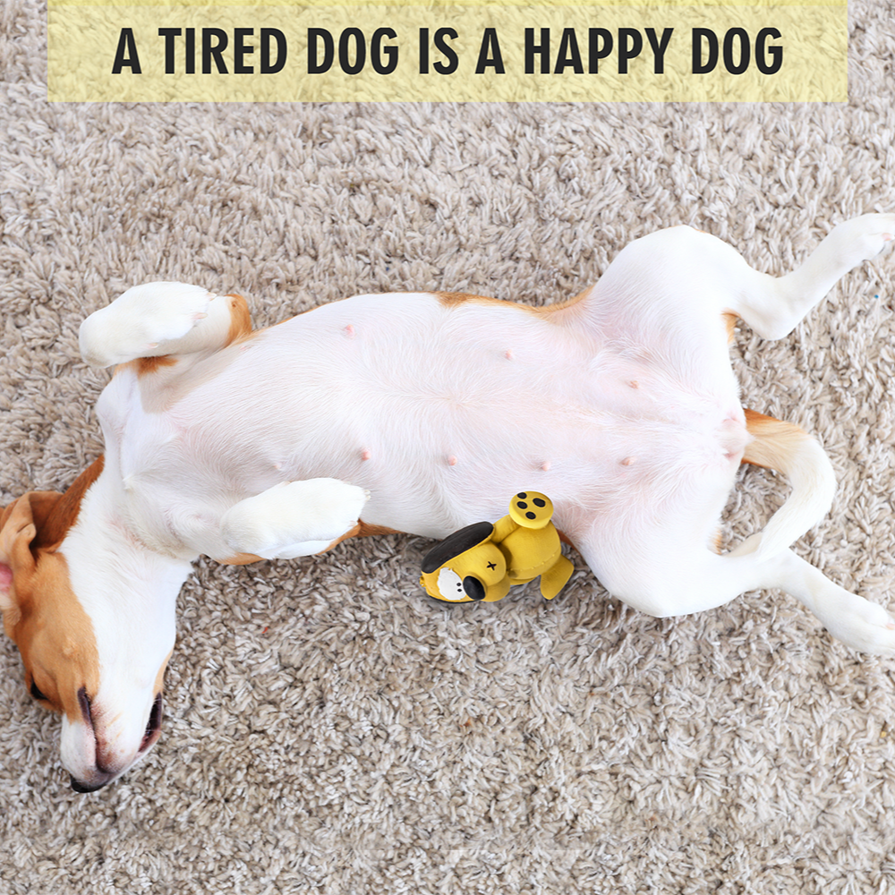 Barkbutler x Fofos Latex Bi Dog Toy for Dogs | For Medium Chewers (Yellow) image 7