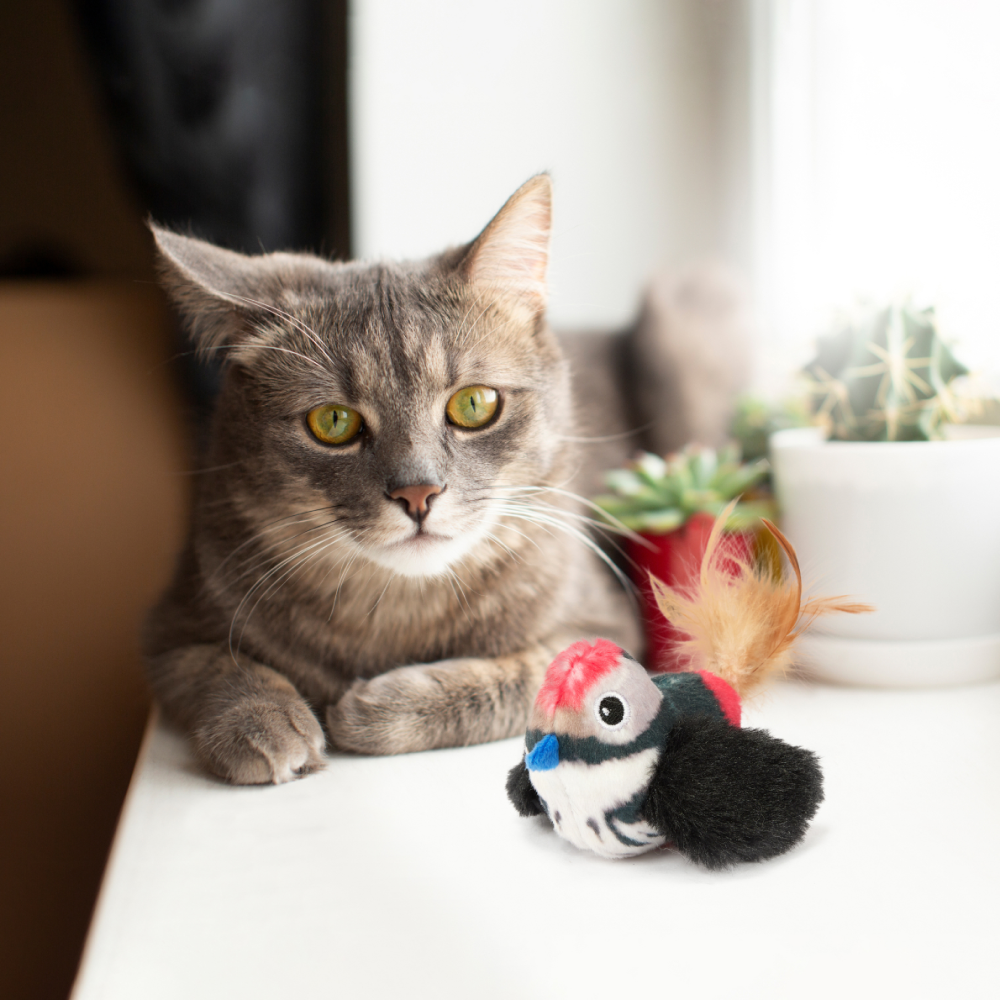 Barkbutler x Fofos Black Bird with Catnip Balls Interactive Toy for Cats (Black) image 8
