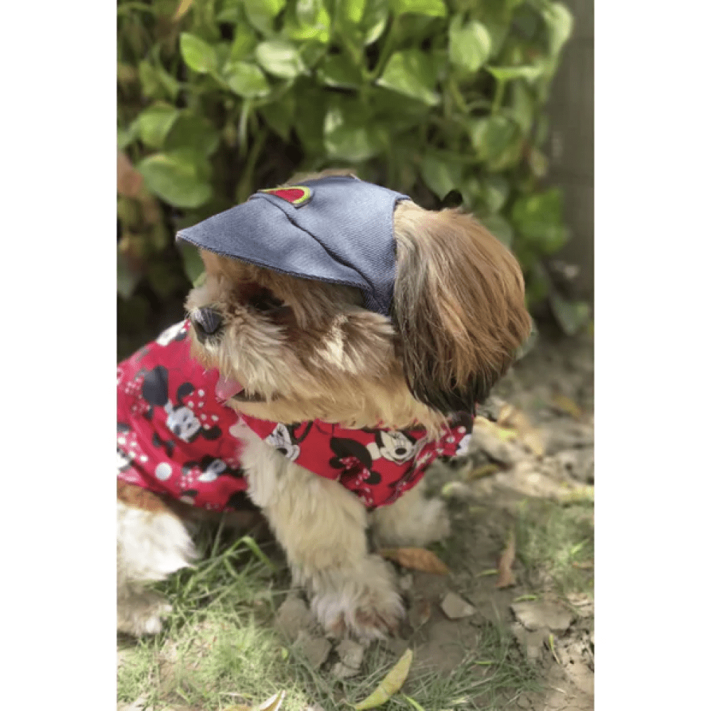 Pawgypets Cap for Dogs and Cats (Denim) image 5