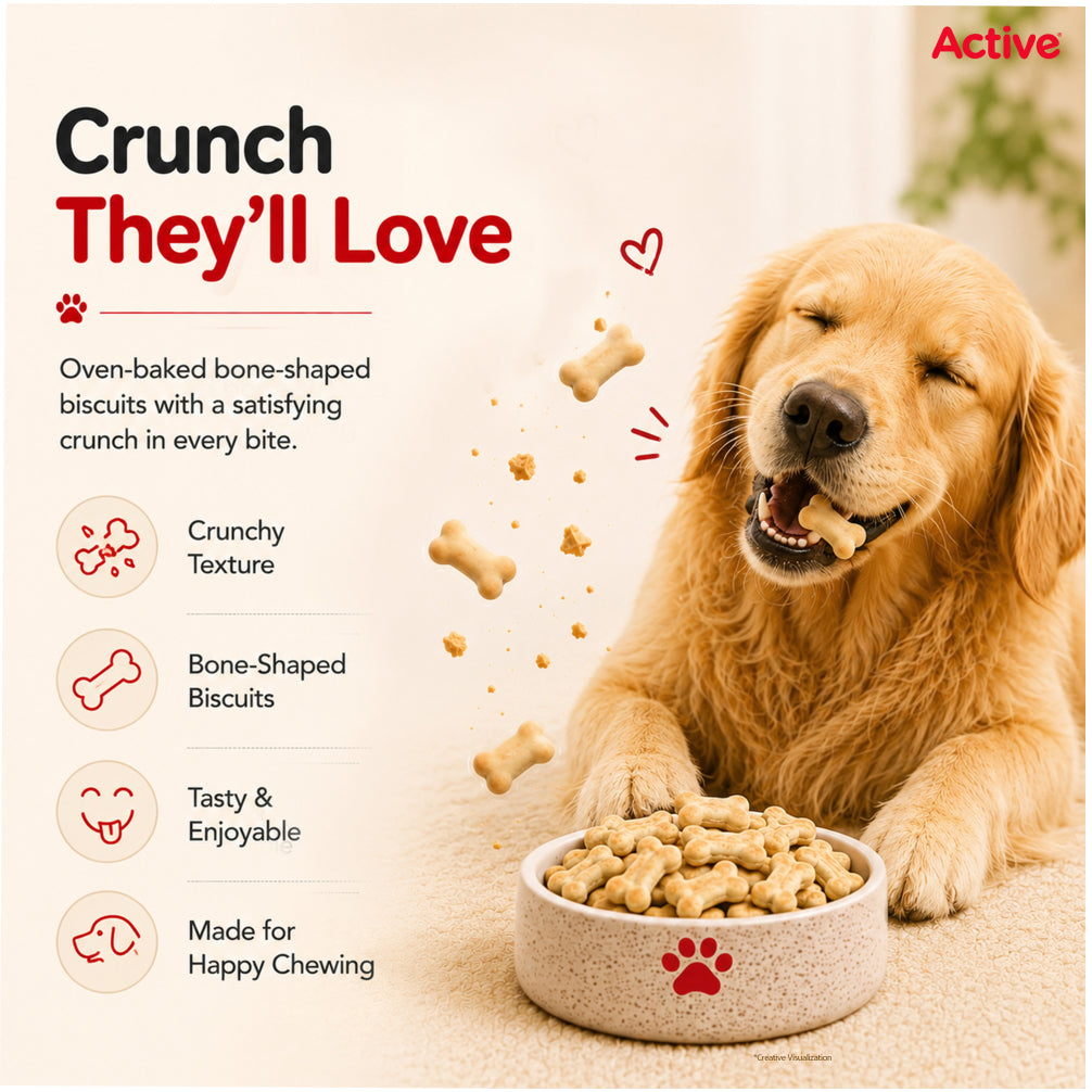 Active Chicken and Vegetables Biscuit Dog Treats (Buy 1 Get 1) image 8