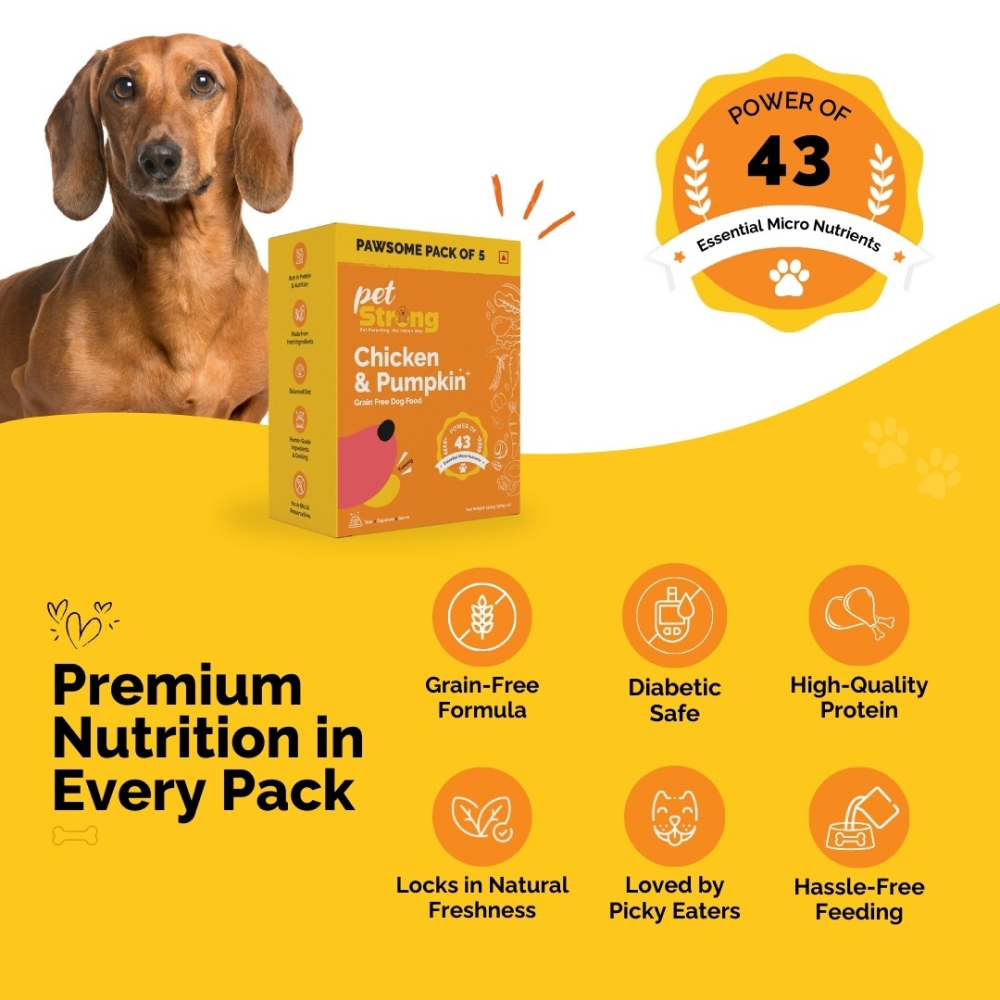 PetStrong Fresh Food Variety Pack Combo for Dogs image 5