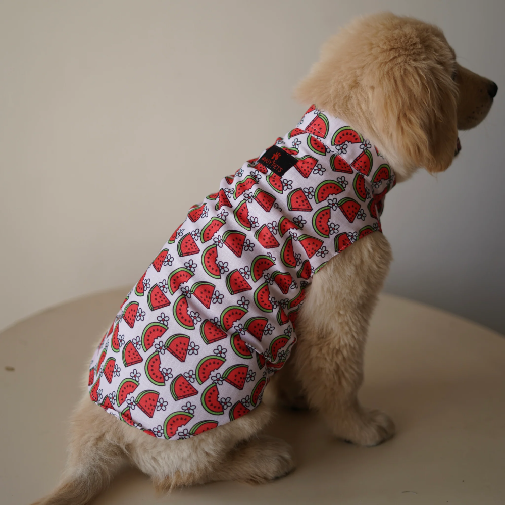 Pawgypets Daisy Melon Sando for Dogs (Pink) image 3