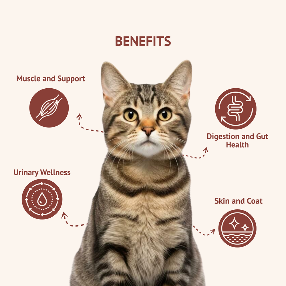 Goofy Tails Himalayan Trout & Anchovies Cat Meals image 10