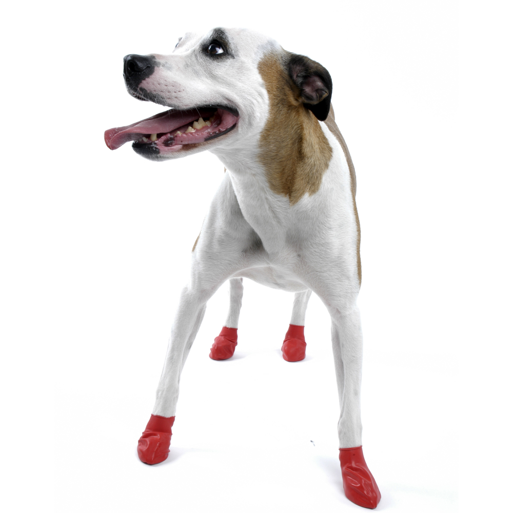 Protex PawZ Disposable and Reusable Boots for Dogs (Red) image 4