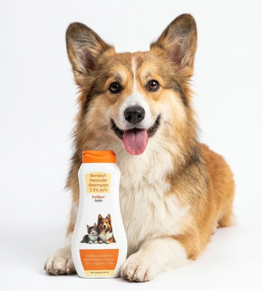 Petcare Petben Benzoyl Peroxide Shampoo 200ml and Virbac Ketochlor Shampoo 200ml for Dogs & Cats Combo image 5