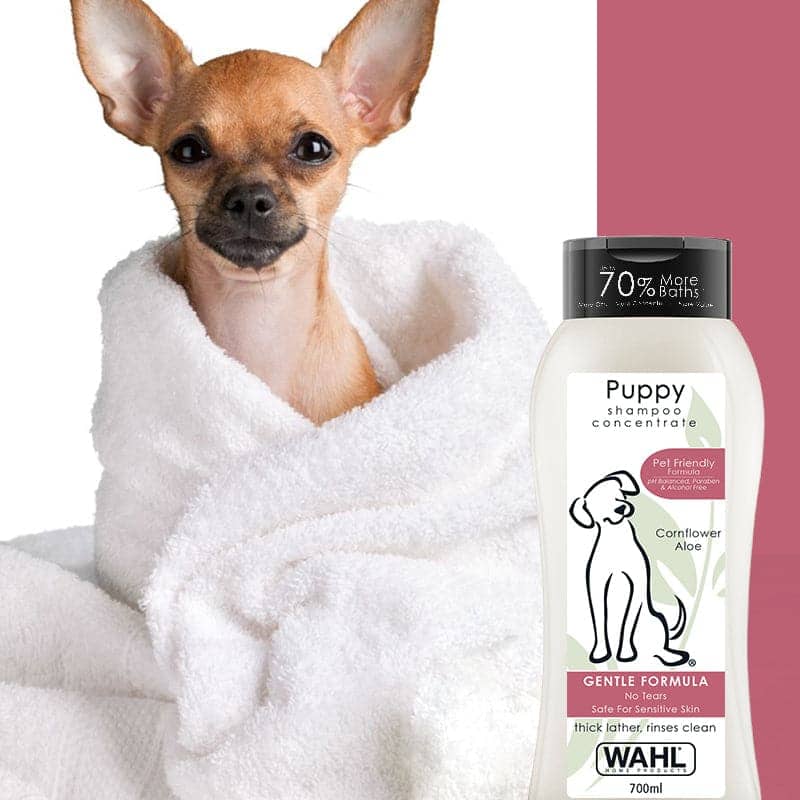 Wahl Shampoo for Puppy (Aloe Cornflower) image 7