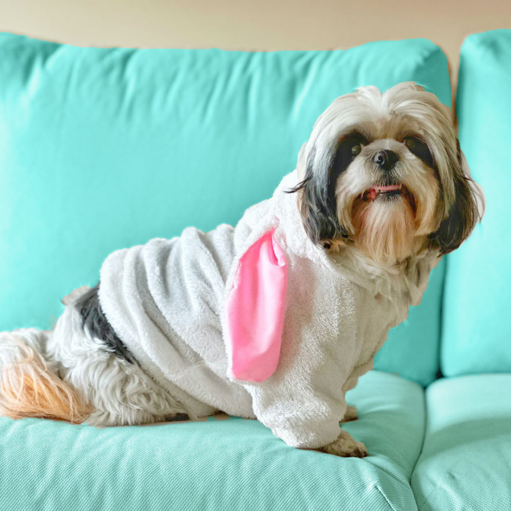Dogobow Bunny Hoodie for Dogs and Cats (White) (Get a Bow Free) image 4