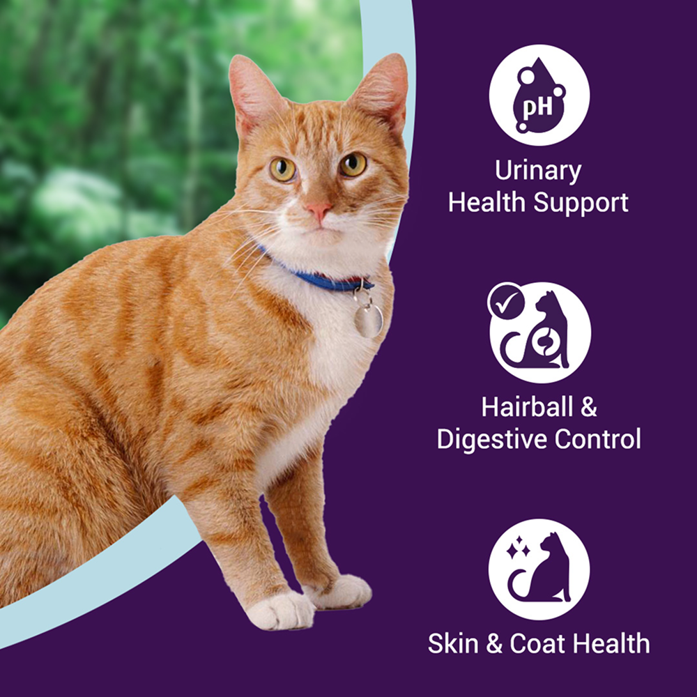 Purrfeto Chicken and Rice Adult Cat Dry Food image 2