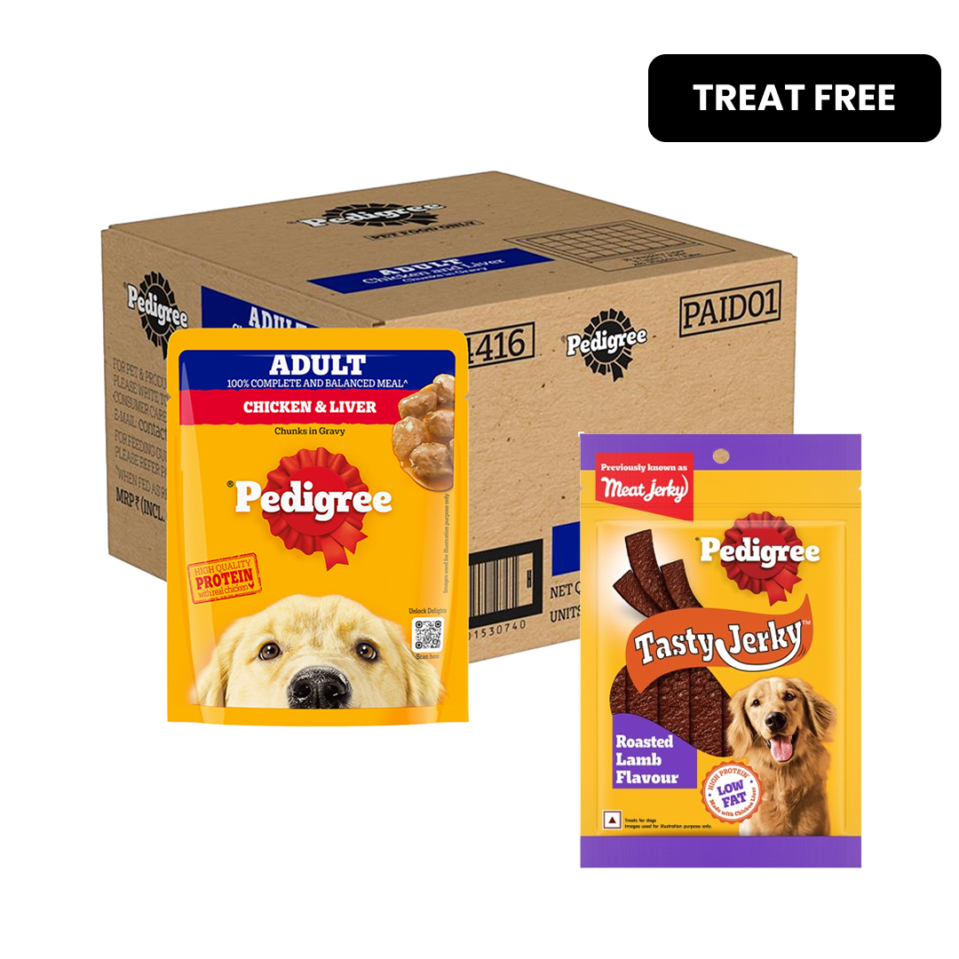 Pedigree Chicken and Liver Chunks in Gravy Adult Dog Wet Food (70g) image 2
