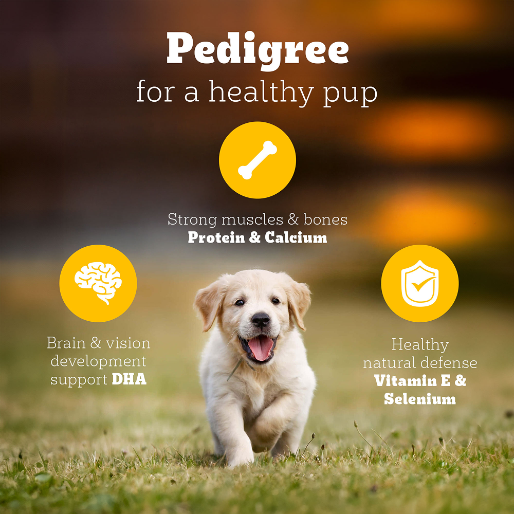 Pedigree Chicken and Milk Puppy Dry Food image 2