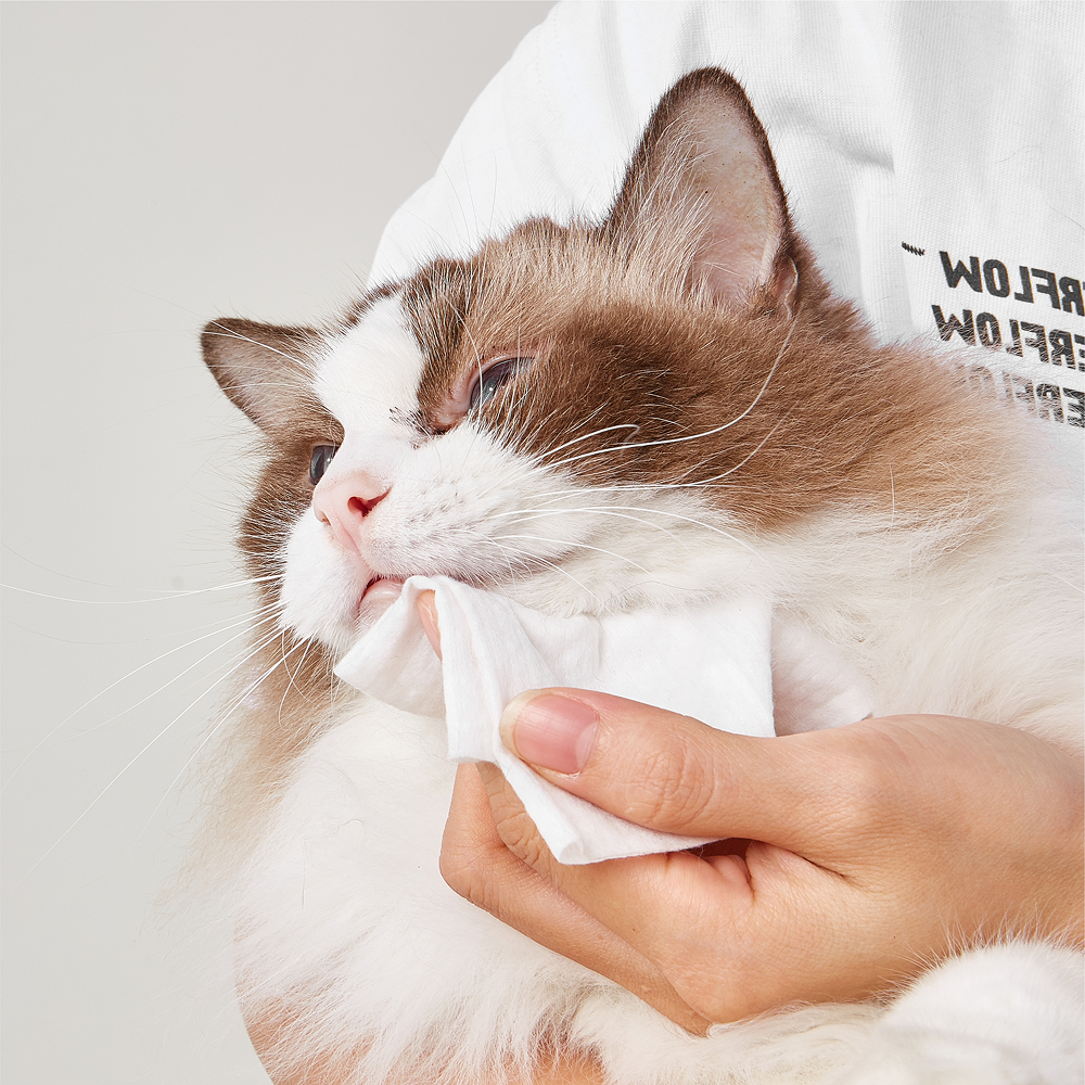 Fofos Unscented Cleaning Wipes for Dogs and Cats image 8