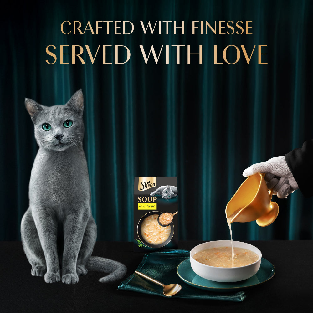 Sheba Soup with Chicken Adult Cat Wet Food image 6
